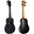 FLIGHT TUS-35-BK Ukulele sopranowe